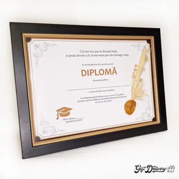 diploma profesor graduare